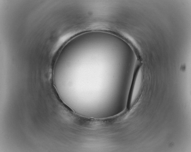 X0000090471461200707272248