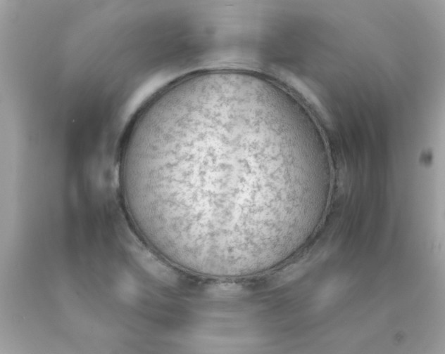 X0000090471462200707272248