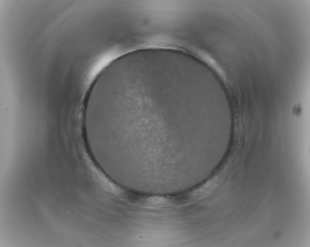 X0000090471463200707272248