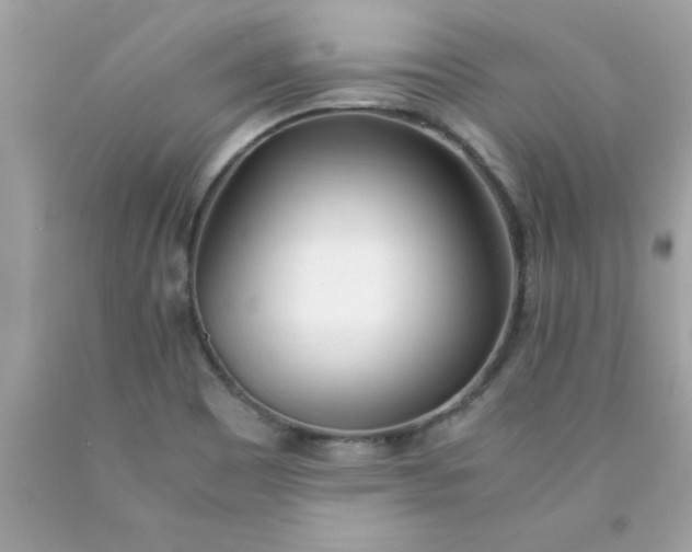 X0000090471465200707272248