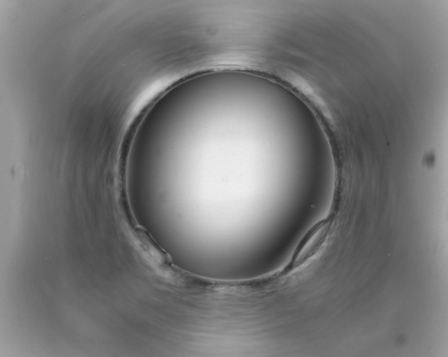 X0000090471469200707272247