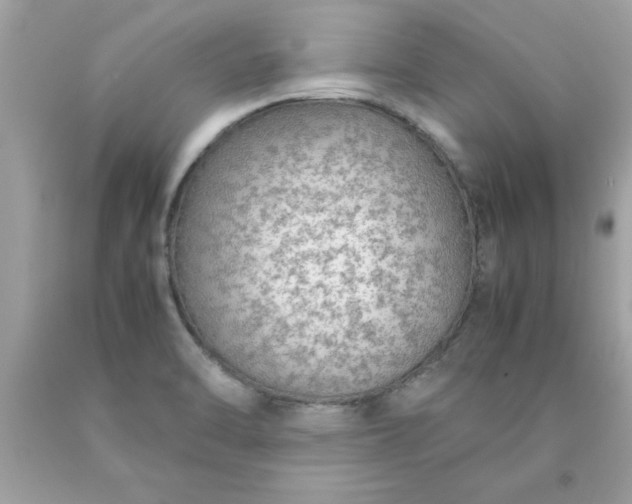 X0000090471470200707272247