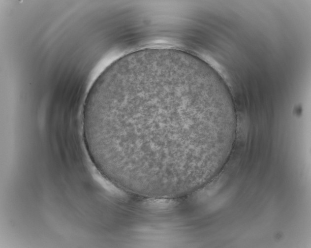 X0000090471474200707272247