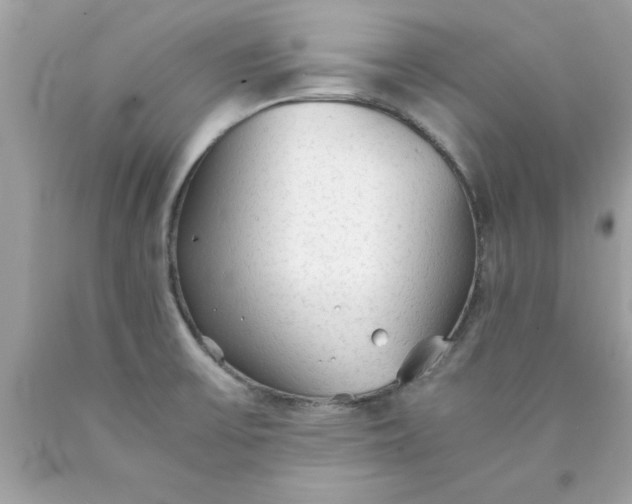 X0000090471475200707272247