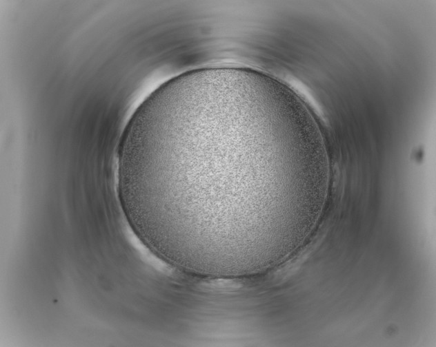 X0000090471476200707272247