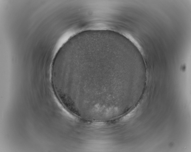 X0000090471477200707272247