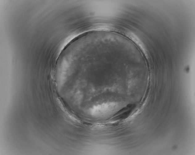 X0000090471481200707272247