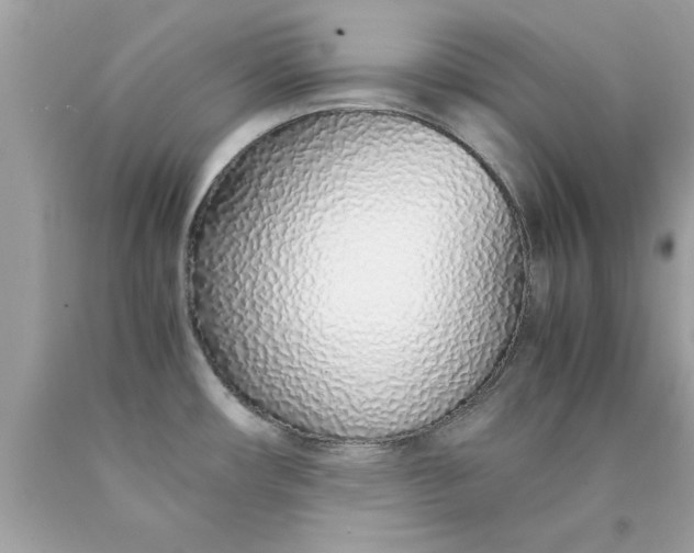 X0000090471482200707272247