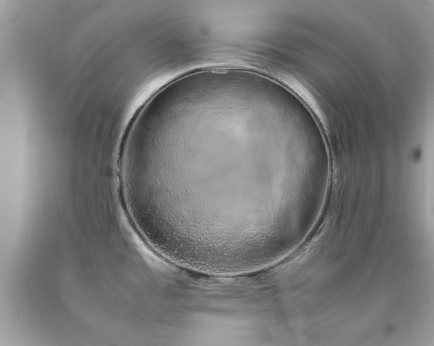 X0000090471485200707272247