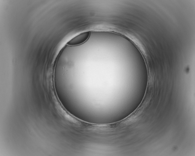 X0000090471486200707272247