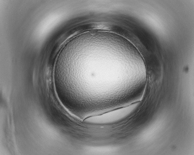 X0000090471487200707272247