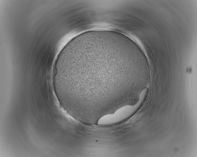 X0000090471488200707272247