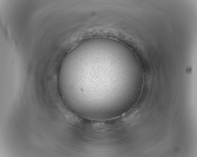 X0000090471489200707272247