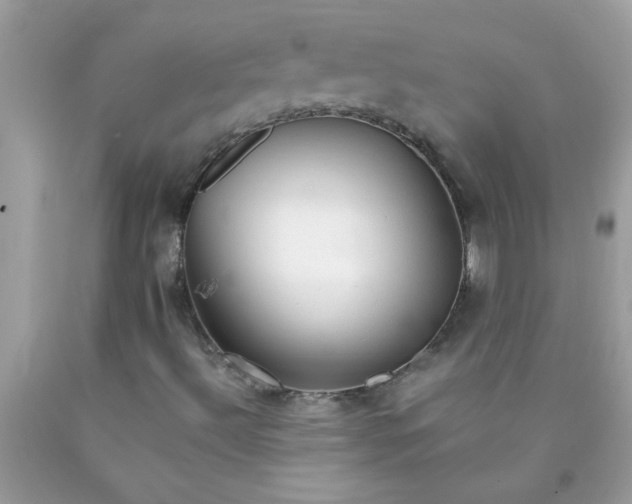 X0000090471492200707272247