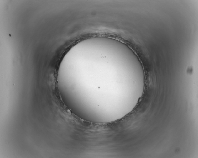 X0000090471493200707272247