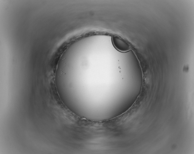 X0000090471495200707272247