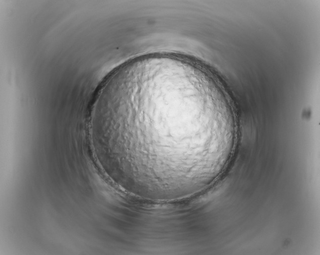 X0000090471497200707272247