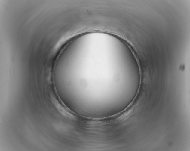 X0000090471499200707272247