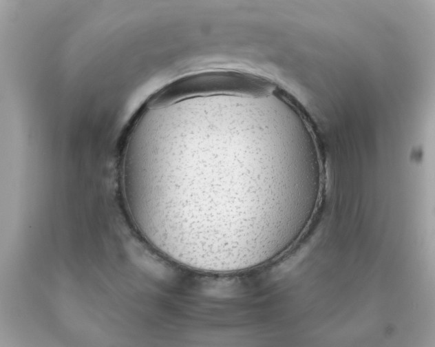 X0000090471501200707272247