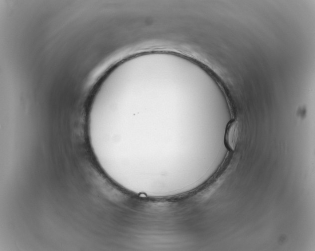 X0000090471502200707272247