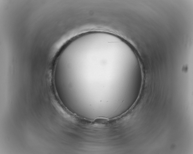 X0000090471503200707272247