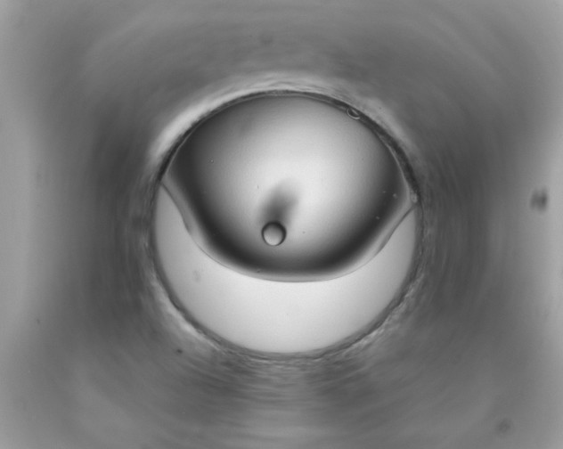 X0000090471504200707272247