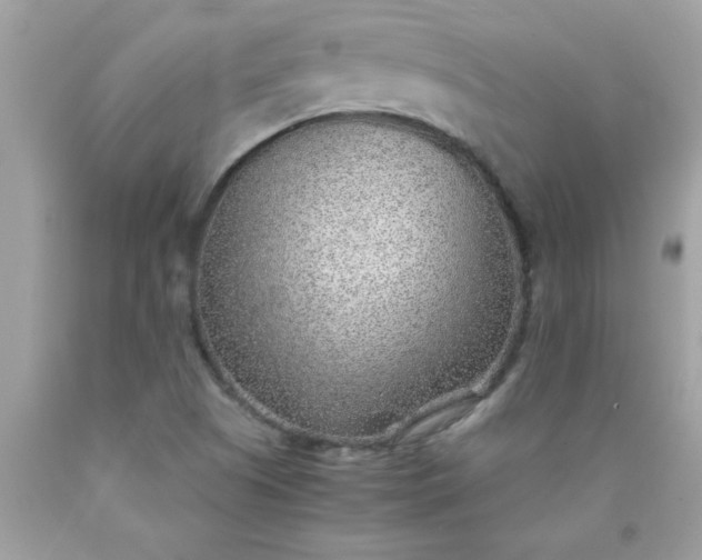 X0000090471505200707272247