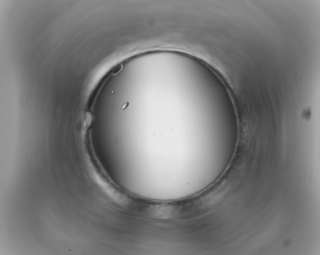 X0000090471511200707272247