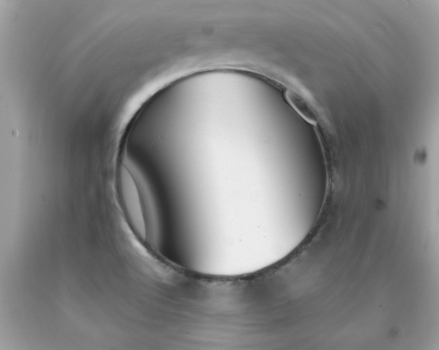 X0000090471512200707272247