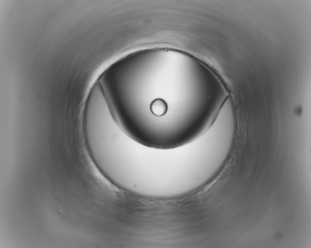 X0000090471516200707272247