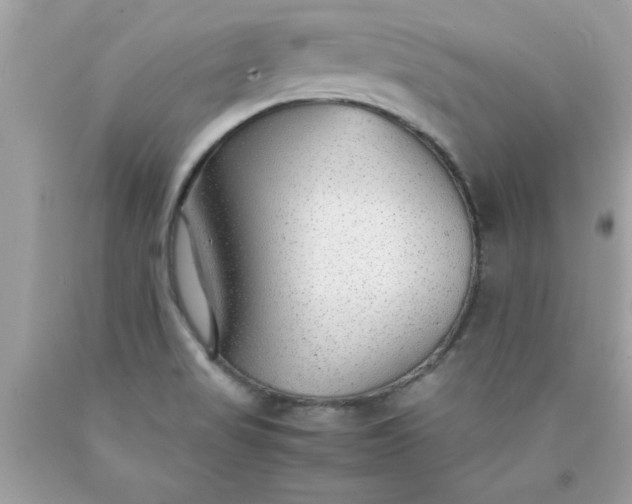 X0000090471517200707272247