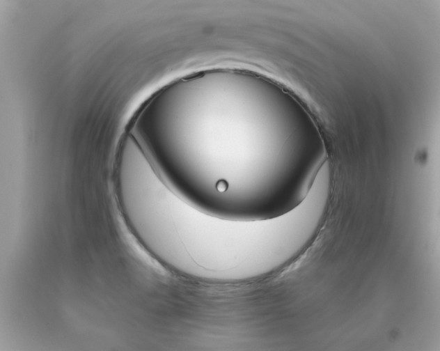 X0000090471518200707272247