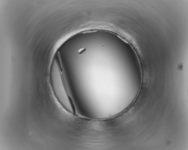 X0000090471520200707272247