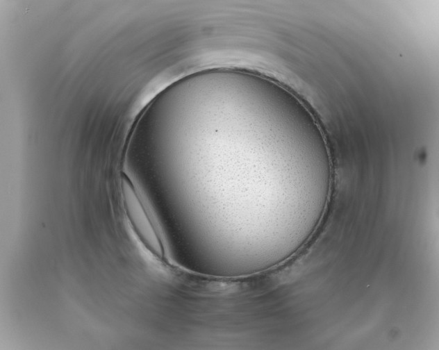 X0000090471521200707272247