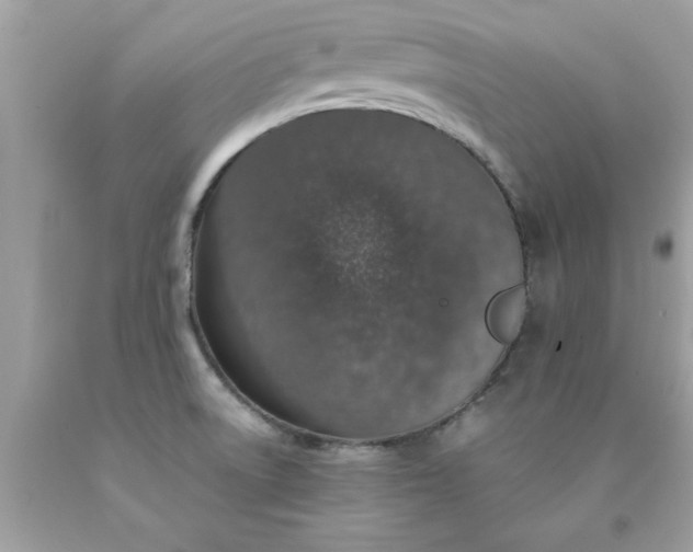 X0000090471522200707272247