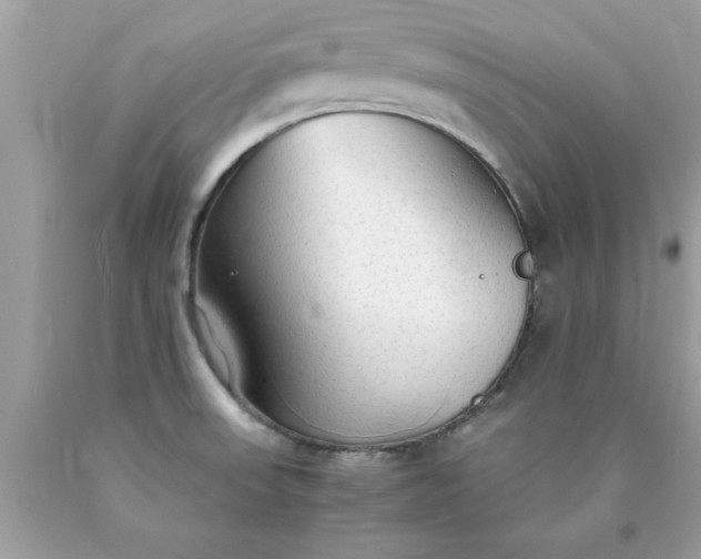 X0000090471523200707272247