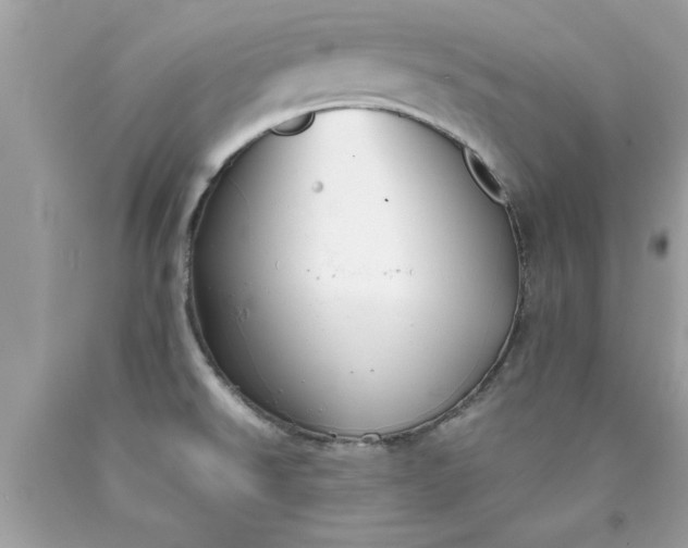 X0000090471526200707272247