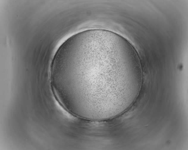 X0000090471527200707272247