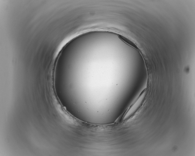 X0000090471530200707272247