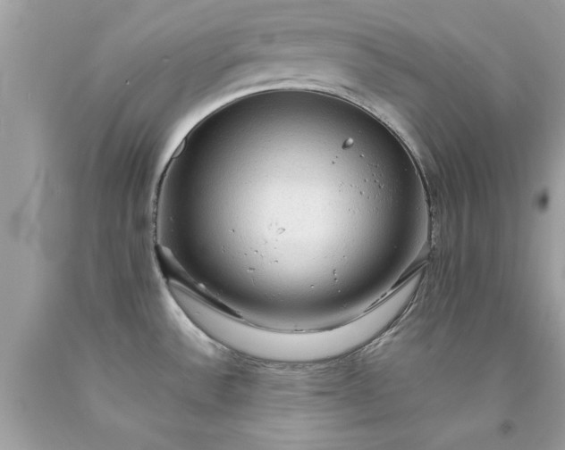 X0000090471532200707272247