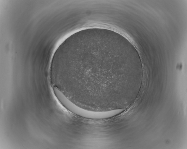 X0000090471536200707272247