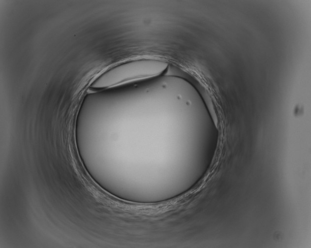 X0000090470001200708031316