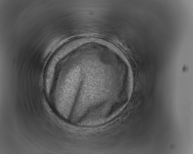 X0000090470002200708031316