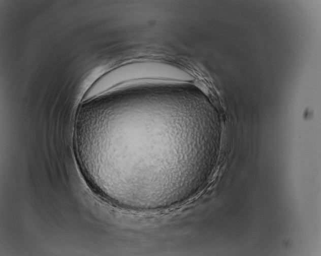 X0000090470003200708031316