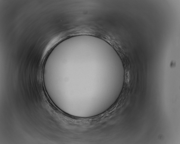 X0000090470004200708031316