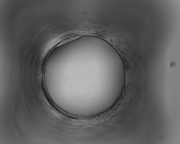 X0000090470005200708031316