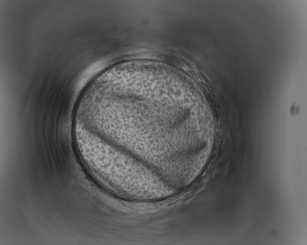 X0000090470006200708031316