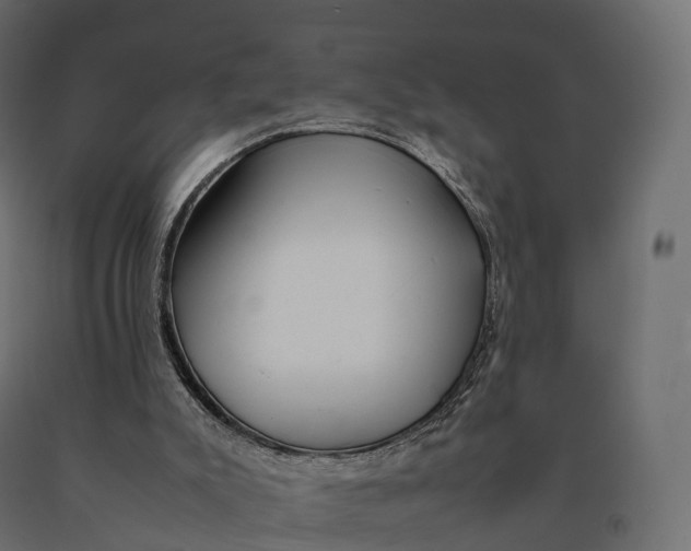 X0000090470007200708031316