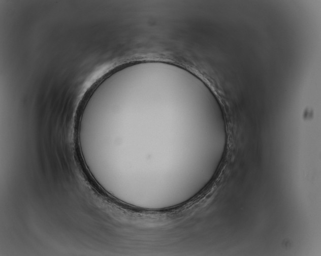 X0000090470008200708031316