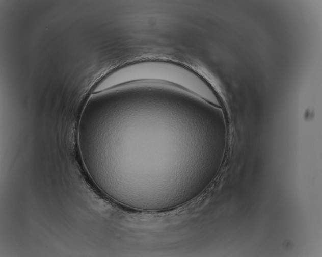 X0000090470009200708031316